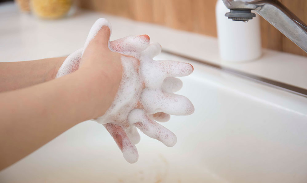 入園 入学前に手洗いできるようになろう 上手な手洗いをするためのポイント コラム サツドラ サッポロドラッグストアー