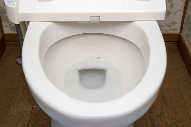 トイレの 黒ずみ はなぜできる 気になる汚れの落とし方と予防法 コラム サツドラ サッポロドラッグストアー