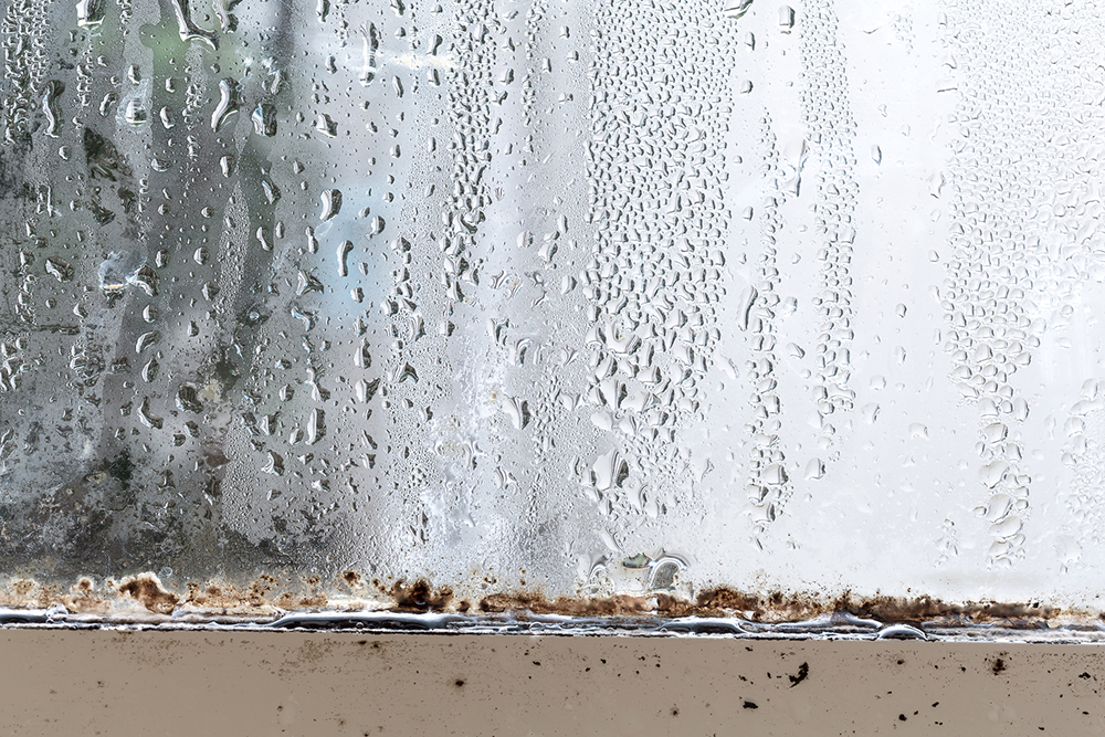 窓のびしょびしょ濡れにさよなら 結露の原因と６つの防止法 コラム サツドラ サッポロドラッグストアー